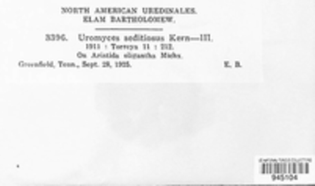 Uromyces seditiosus image
